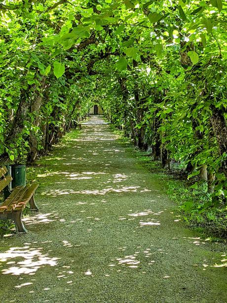 Historische Altstadt Dachau — Fotoreportage 20 Bilder — La vieille ville de Dachau — Reportage en 20 photos