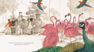 Le zoo d'Amadou de Rebecca Walsh