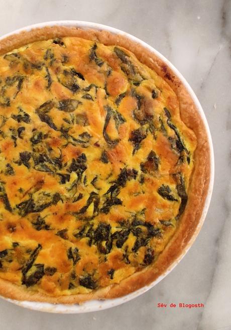 Projet 52-2022 #24 – Se mettre au vert