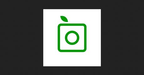 Top 8 des applications qui reconnaissent les plantes Top 8 des applications qui reconnaissent les plantes