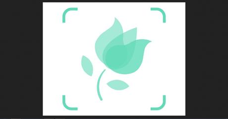 Top 8 des applications qui reconnaissent les plantes Top 8 des applications qui reconnaissent les plantes