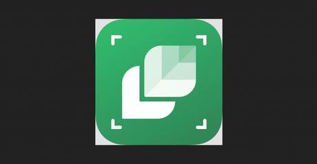 Top 8 des applications qui reconnaissent les plantes Top 8 des applications qui reconnaissent les plantes