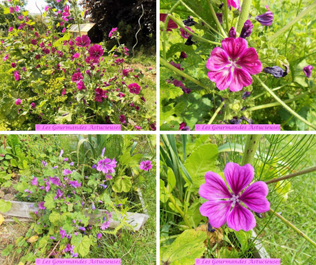 Petits pois et fèves épicés pour l'apéro (Vegan) Petits pois et fèves épicés pour l'apéro (Vegan)