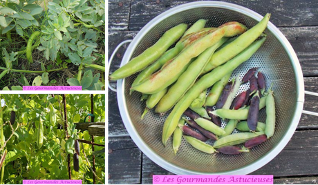 Petits pois et fèves épicés pour l'apéro (Vegan) Petits pois et fèves épicés pour l'apéro (Vegan)