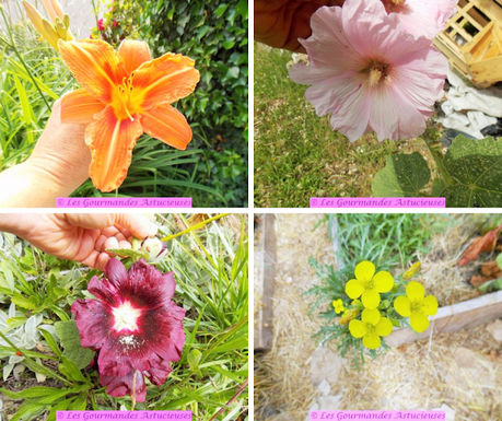 Petits pois et fèves épicés pour l'apéro (Vegan) Petits pois et fèves épicés pour l'apéro (Vegan)