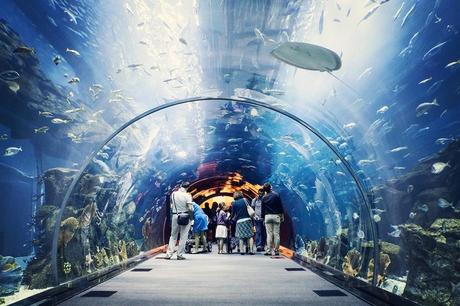 aquarium et le zoo sous-marin de Dubai