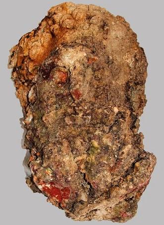 Une tête en marbre d'Hercule trouvée sur le site d'un naufrage romain en Grèce