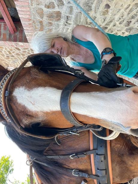 La véloscénie : un séjour à vélo entre Paris et Le Mont-Saint-Michel 🚴 La véloscénie : un séjour à vélo entre Paris et Le Mont-Saint-Michel 🚴