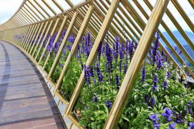 Pont Golden Bridge à Da Nang