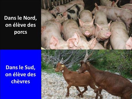 La France - Ses différences - 3