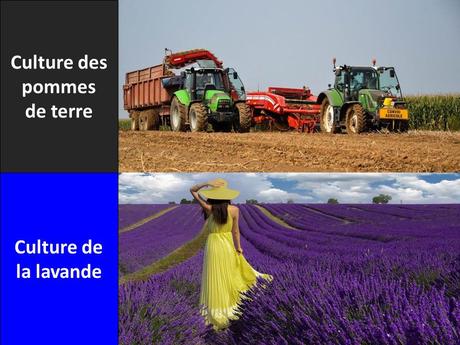 La France - Ses différences - 2