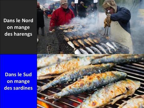 La France - Ses différences - 2