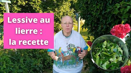 Lessive au lierre : la recette pas à pas (vidéo)