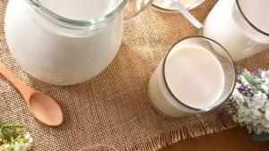 Comment trouver un bon lait sans lactose?