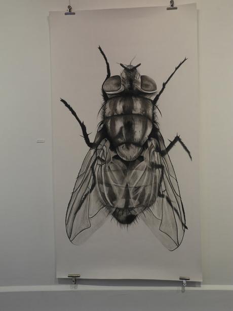 Constance Beltig - Macparis printemps 2022 DSCN0127