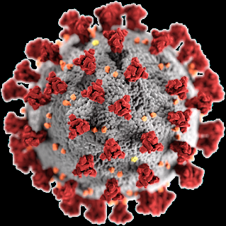 #éditorial COVID-19: les chercheurs et le virus font la course