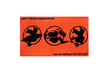 Stüssy et Cactus Plant Flea Market présentent leur collaboration