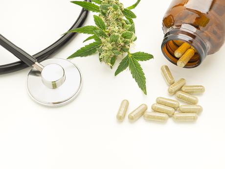 Le  cannabis médical est confirmé comme efficace à calmer la douleur mais également à réduire le besoin d'analgésiques opioïdes chez les patients atteints de cancer (Visuel Adobe Stock 485714381)