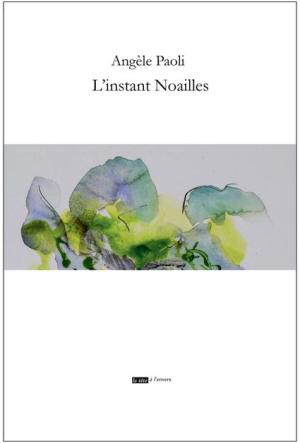 L'INSTANT NOAILLES 