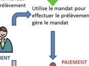 Comment faire rembourser rapidement prélèvement SEPA indu