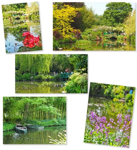 jardin d'eau giverny