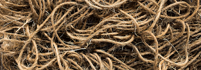 Du plus bas fond au sommet du monde