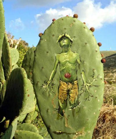 Peinture sur cactus de Ahmed Yasin