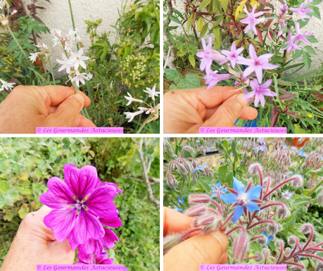 Salade complète courgettes, pois chiches, pâtes, basilic, olives et câpres (Vegan) Salade complète courgettes, pois chiches, pâtes, basilic, olives et câpres (Vegan)