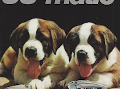 premier jour fixations Look