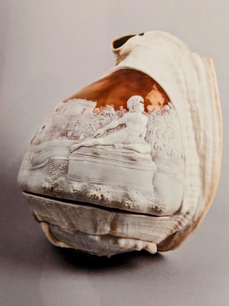 Hermes Villa  Lainz —Sissi's Achilleion shells / Les coquillages casque /cassis de l'impératrice — Meeresschnecken aus der Sammlung Kaiserin Elisabeths