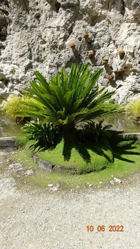 La France - Fontaine pétrifiante de Sône