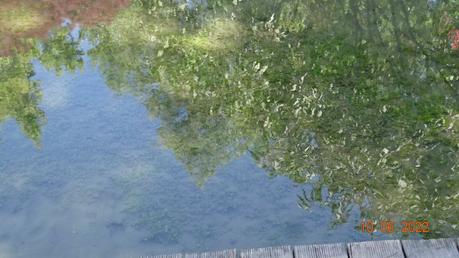 La France - Fontaine pétrifiante de Sône