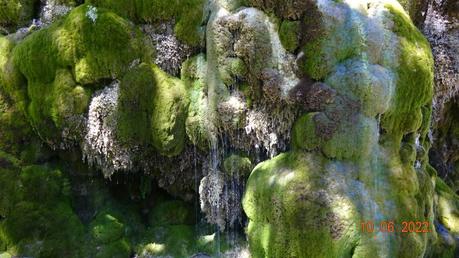 La France - Fontaine pétrifiante de Sône