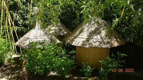 La France - Fontaine pétrifiante de Sône