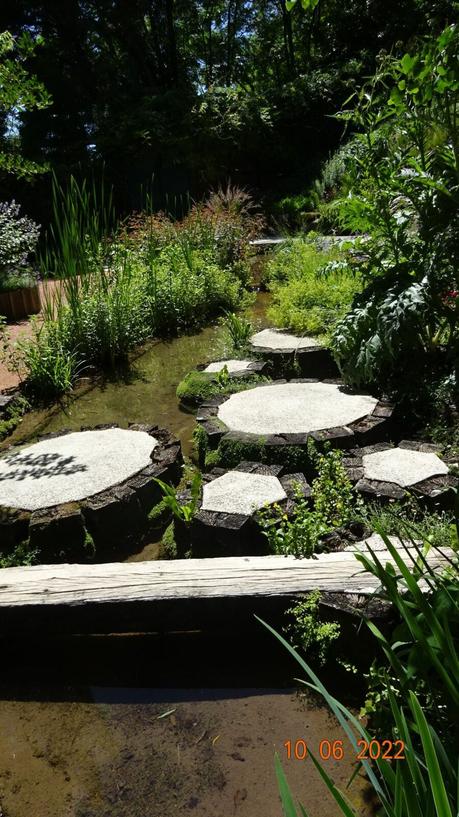 La France - Fontaine pétrifiante de Sône