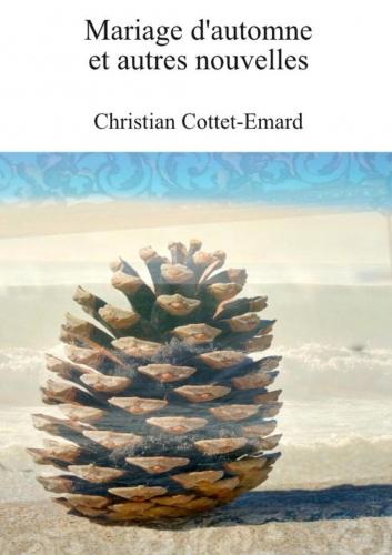 nouvelle,prose,littérature,fiction rmanesque,christian cottet-emard,littérature sentimentale,blog littéraire de christian cottet-emard,été,automne,mariage,éditions germes de barbarie,le fleix,dordogne,périgord,france,europe,aquitaine,mariage d'automne,pomme de pin,océan,dunes,forêt,bord de mer,plage,marée,phare,tristan,helga,andrade,panicauts,escarpins