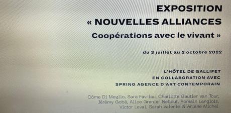 Hôtel Gallifet – à Aix en Provence – l’exposition « Nouvelles alliances » 3 Juillet au 2 Octobre 2022.