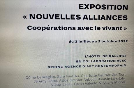 Hôtel Gallifet – à Aix en Provence – l’exposition « Nouvelles alliances » 3 Juillet au 2 Octobre 2022.