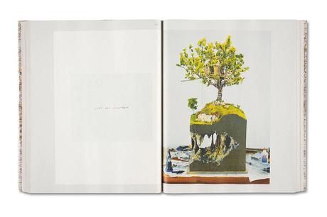 ALEC SOTH – GATHERED LEAVES ANNOTATED
