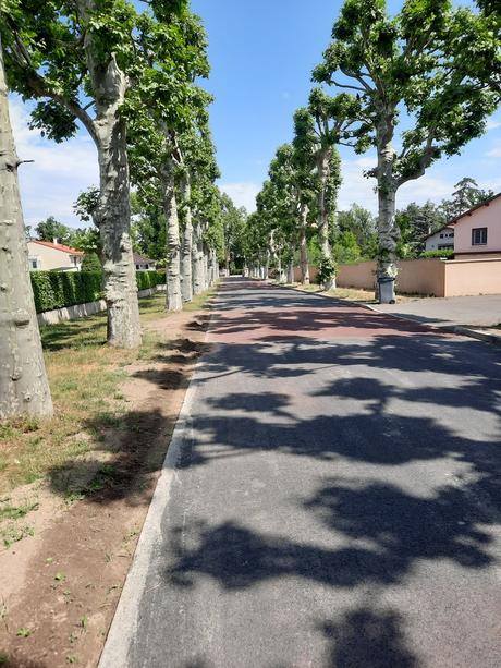 La Source – Chef : Antoine Bergeron (* Michelin) – Saint-Galmier (Loire)