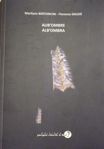 poésie,marilyne bertoncini,photographie,florence daudé,aub'ombre,alb'ombra,éditions pourquoi viens-tu si tard ?,abbatiale saint michel de nantua,reflets,lumières,ombre,leçons de ténèbres,livre,littérature,édition,dialogue poésie photo,blog littéraire de christian cottet-emard,office de tourisme de nantua,pays de l'ain,haut bugey,rhône alpes,france,europe,site clunisien,édition bilingue français italien