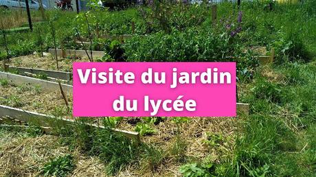 Visite du jardin en permaculture du lycée Pierre Mendès France de Bruay Labuissière (vidéo)