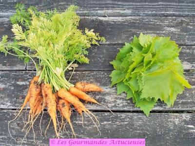 Brochettes de carottes caramélisées sur lit de feuilles de vigne et roquette (Vegan) Brochettes de carottes caramélisées sur lit de feuilles de vigne et roquette (Vegan)