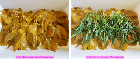 Brochettes de carottes caramélisées sur lit de feuilles de vigne et roquette (Vegan) Brochettes de carottes caramélisées sur lit de feuilles de vigne et roquette (Vegan)