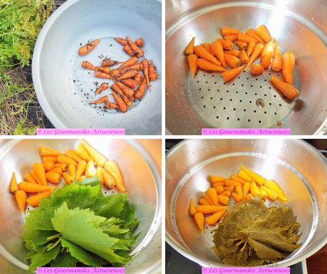 Brochettes de carottes caramélisées sur lit de feuilles de vigne et roquette (Vegan) Brochettes de carottes caramélisées sur lit de feuilles de vigne et roquette (Vegan)