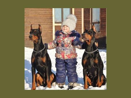 Divers - Les Animaux et les enfants