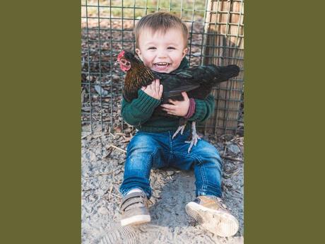 Divers - Les Animaux et les enfants