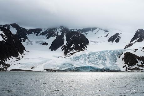 Expédition polaire au Svalbard: La toundra et les morses de Moffen !