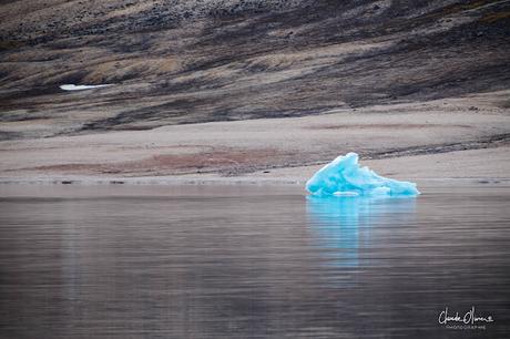 Expédition polaire au Svalbard: L'ours et ses petits et le glacier d'Etonbreen !