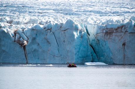 Expédition polaire au Svalbard: L'ours et ses petits et le glacier d'Etonbreen !